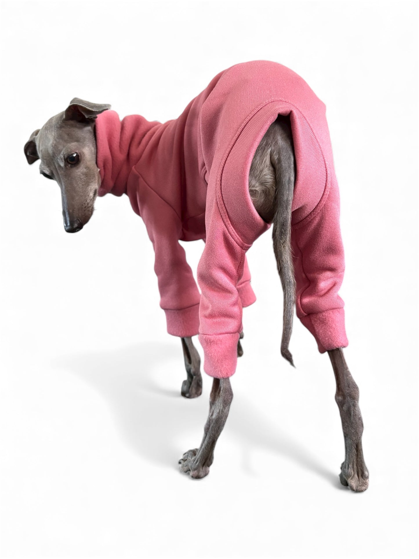 Fleece Lined Sweatshirt - Bubblegum Pink