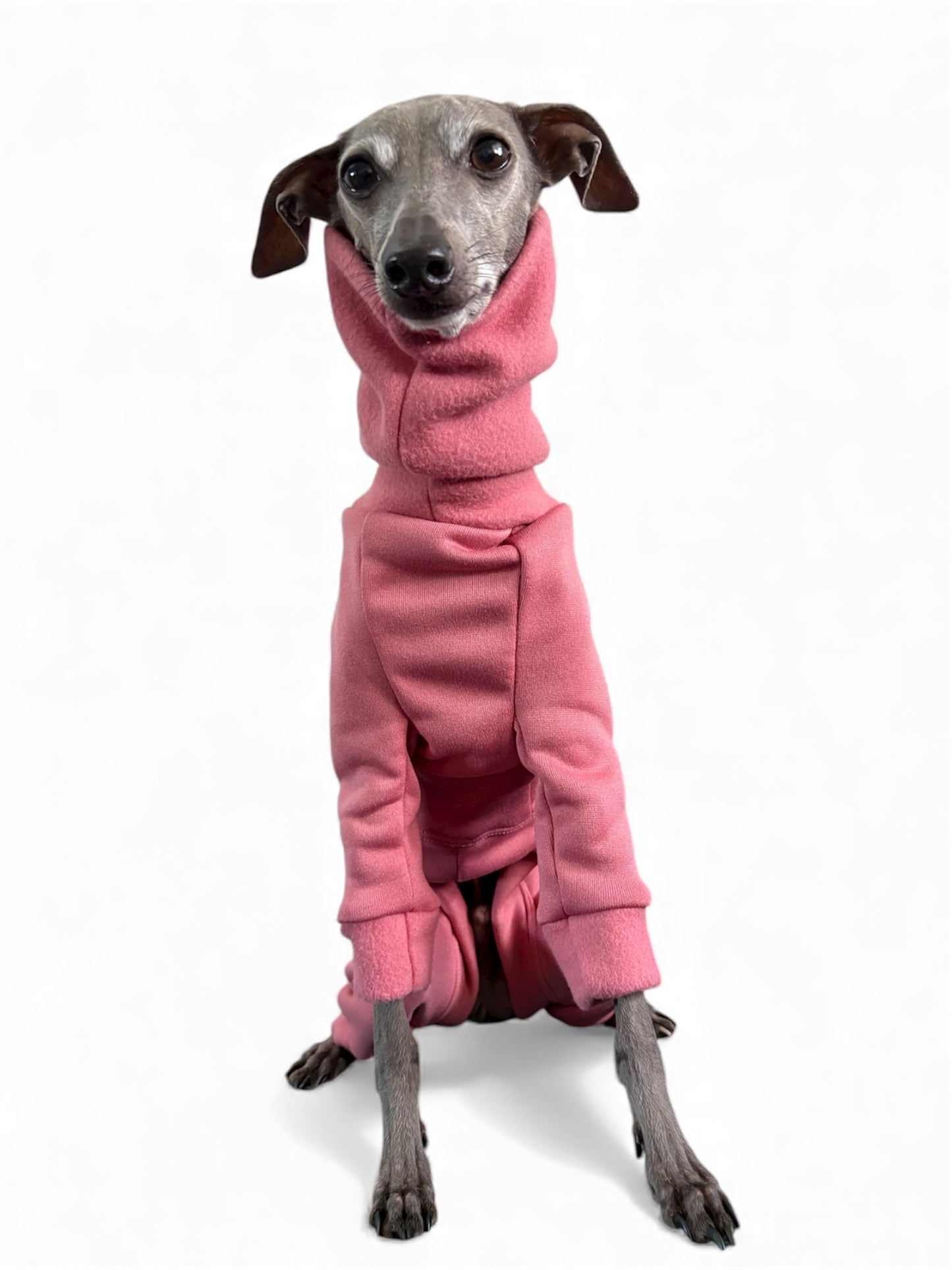 Fleece Lined Sweatshirt - Bubblegum Pink