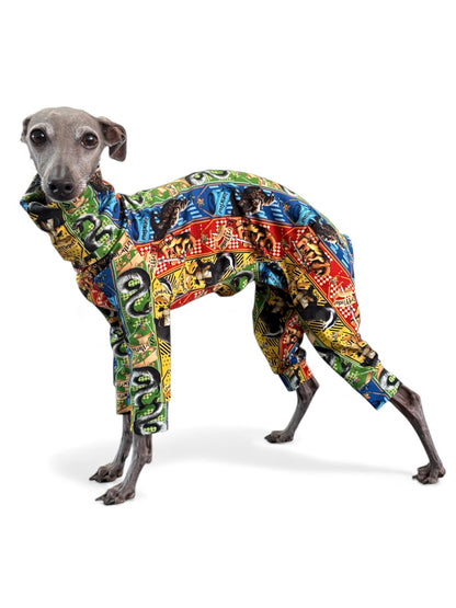 Jersey Suit - Harry Potter