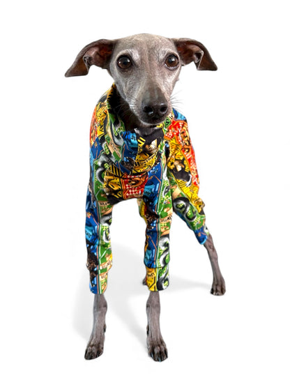 Jersey Suit - Harry Potter