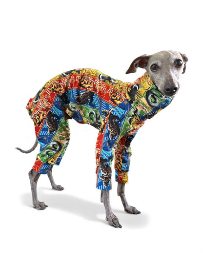 Jersey Suit - Harry Potter