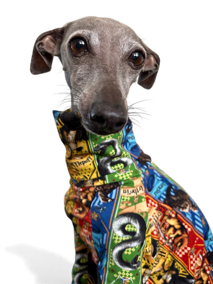 Jersey Suit - Harry Potter