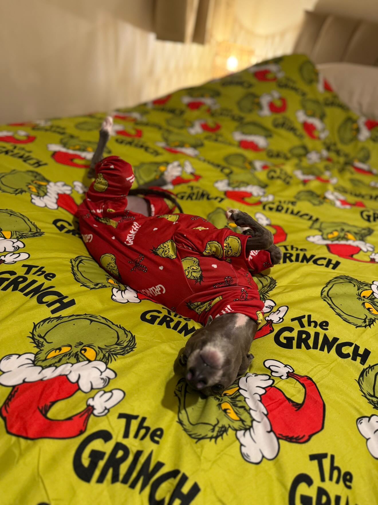 Christmas Jersey Suit - The Grinch