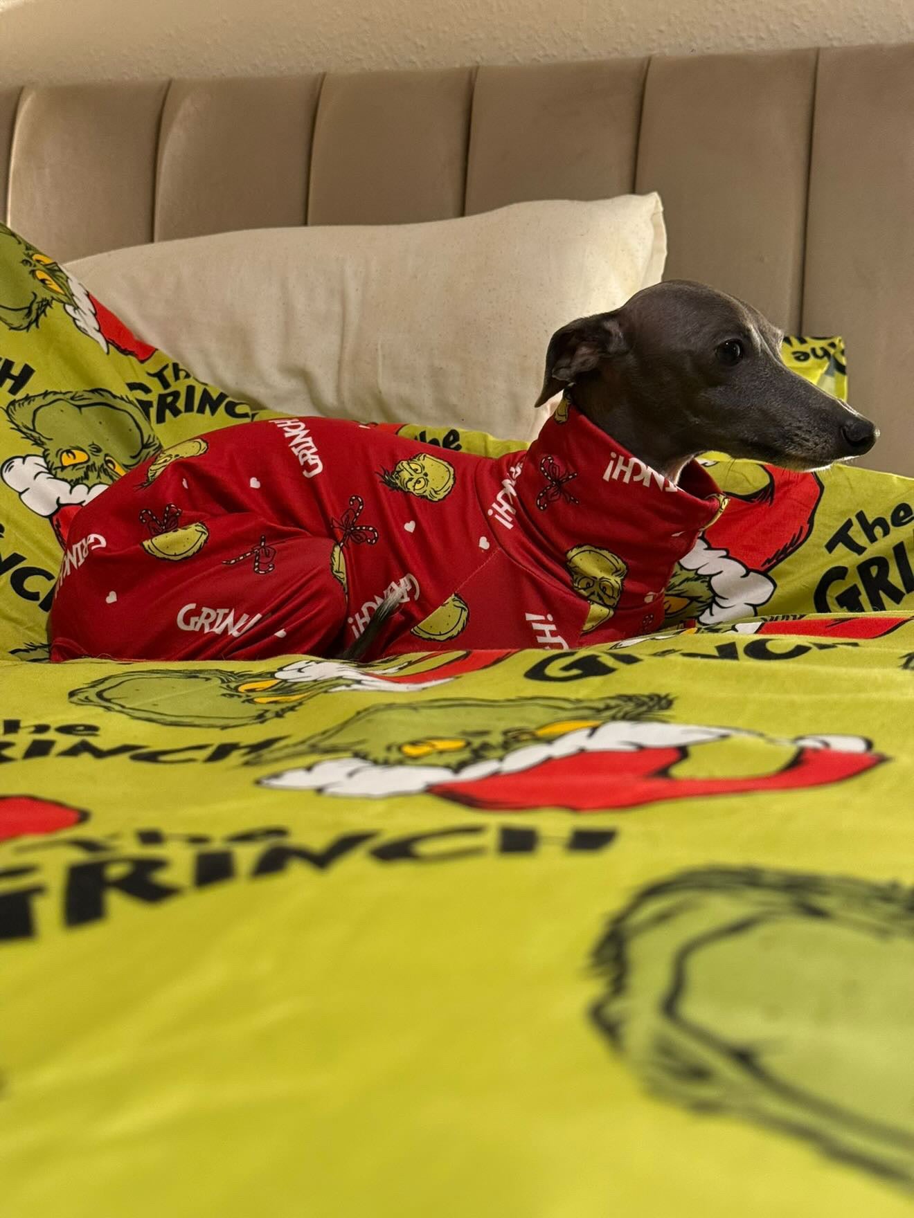 Christmas Jersey Suit - The Grinch