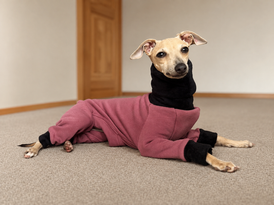 Fleece Lined Sweatshirt Suit - Pink & Black