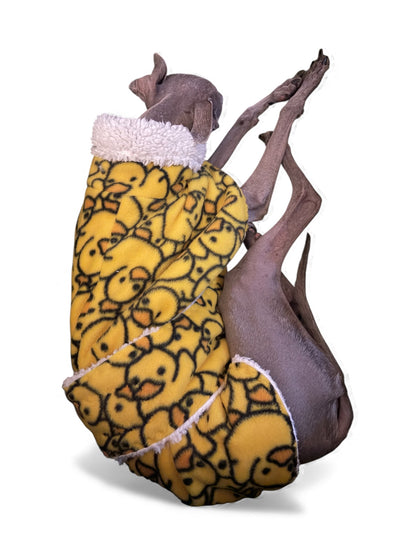 Dressing Gown - Rubber Duckies