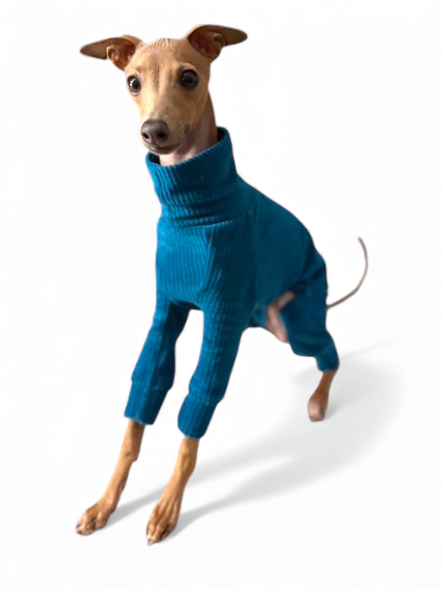 Jumbo Cord Jersey Suit - Petrol Blue