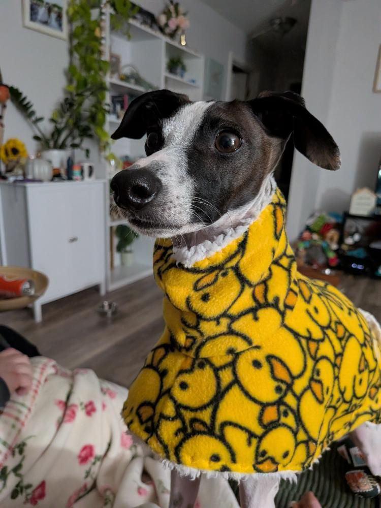 Dressing Gown - Warm Hearts