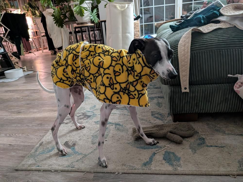 Dressing Gown - Warm Hearts