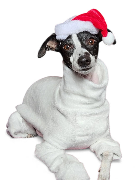 Fleece Lined Sweatshirt Suit - Stone