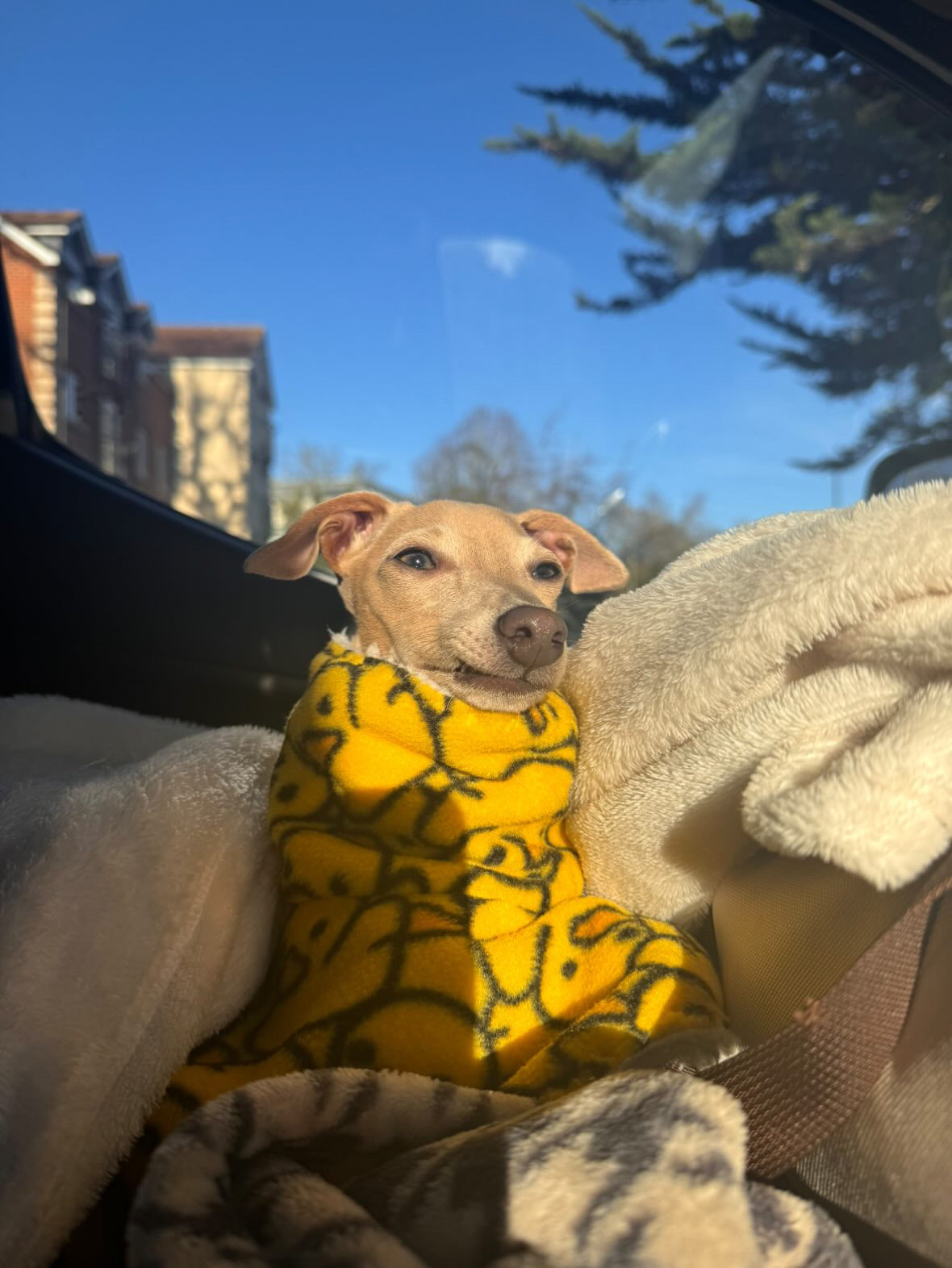 Dressing Gown - Rubber Duckies