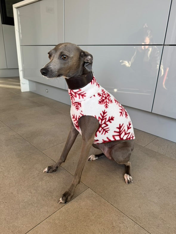 Fleece Vest - Let It Snow