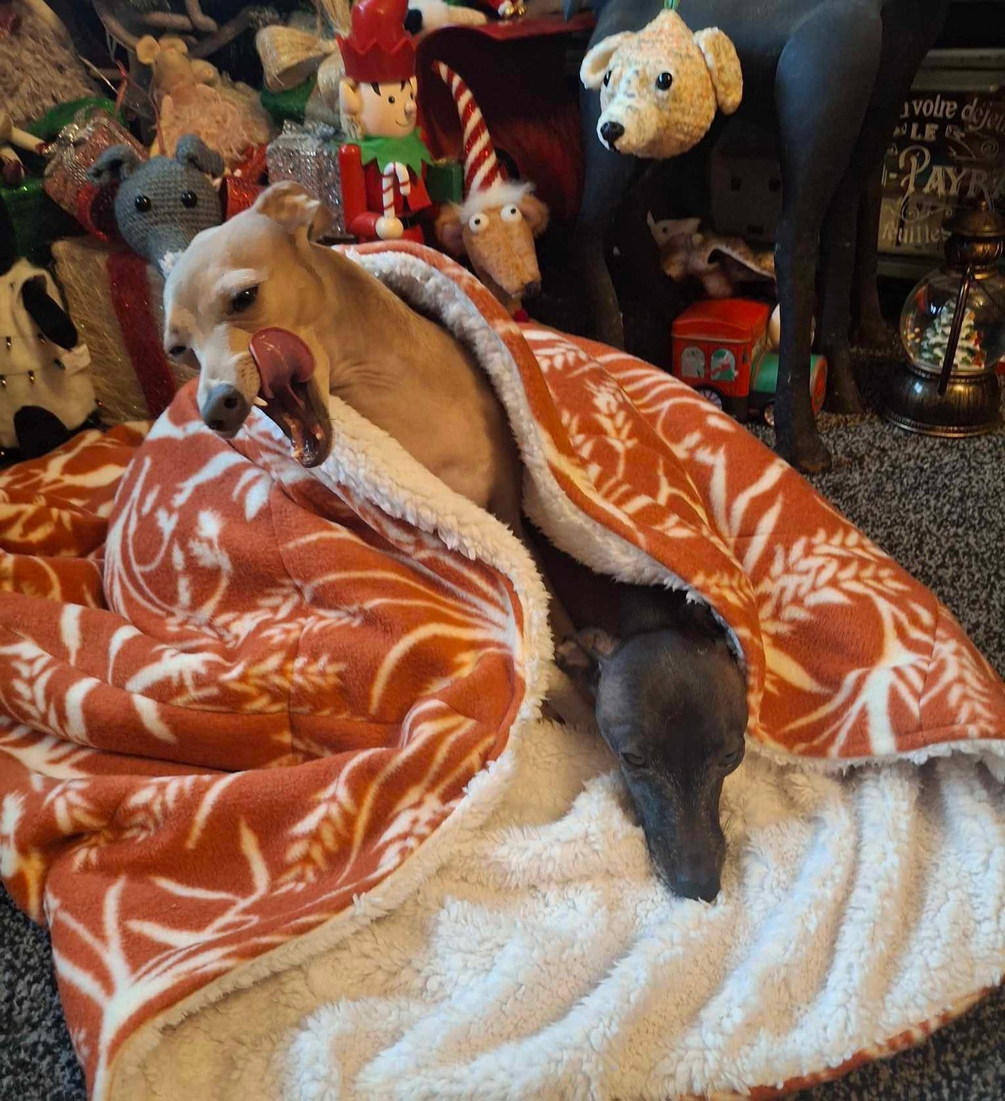 Snuggle Sack - Wild Daisies