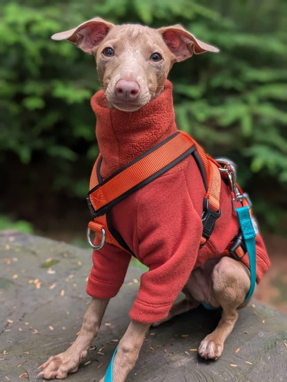 Fleece Lined Sweatshirt Jumper - Rust Orange