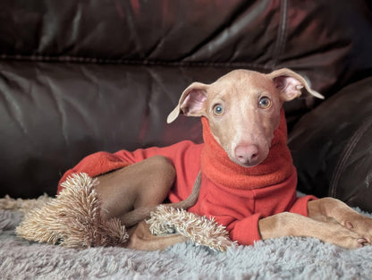 Fleece Lined Sweatshirt Jumper - Rust Orange