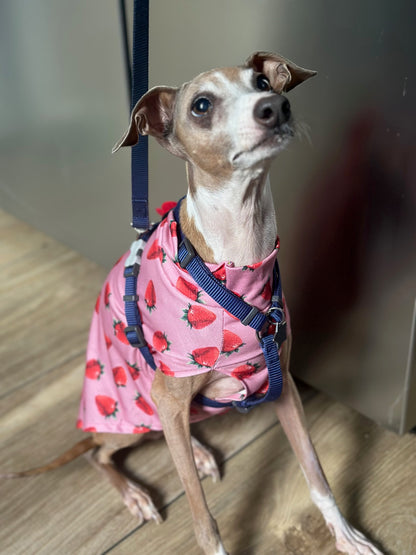 Jersey Vest - Strawberry Kisses