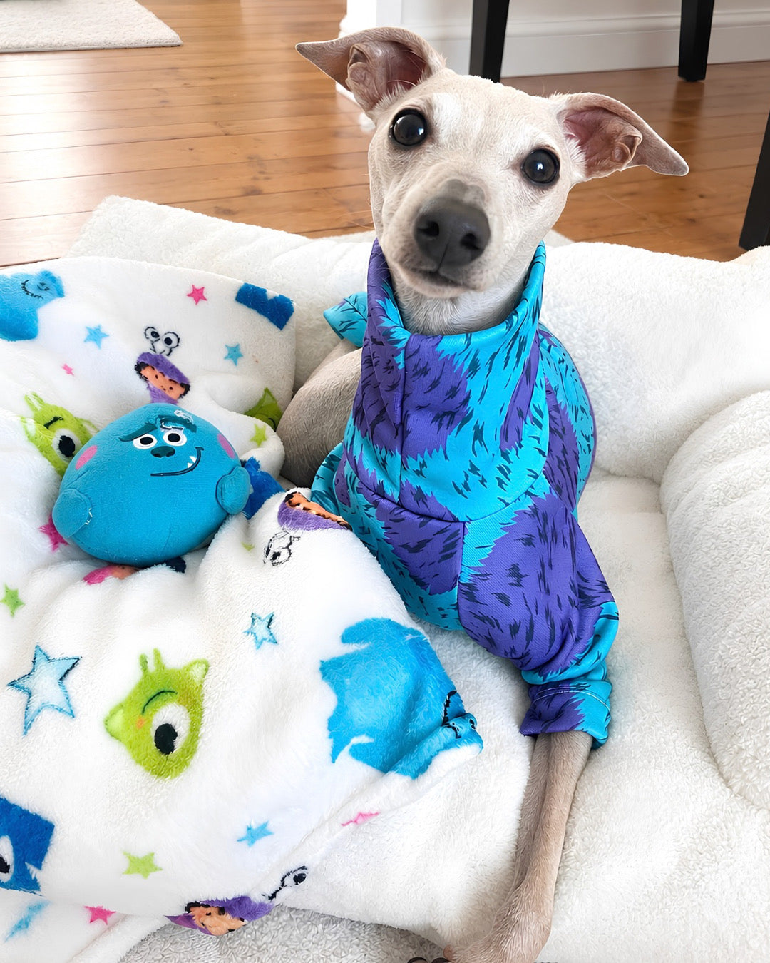 Lightweight Sweatshirt - Monsters Inc.