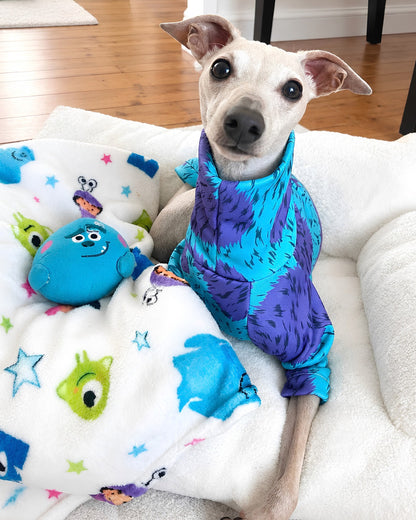 Lightweight Sweatshirt - Monsters Inc.