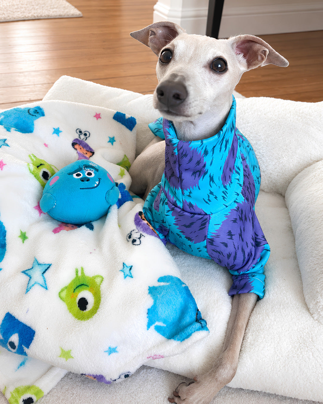 Lightweight Sweatshirt - Monsters Inc.