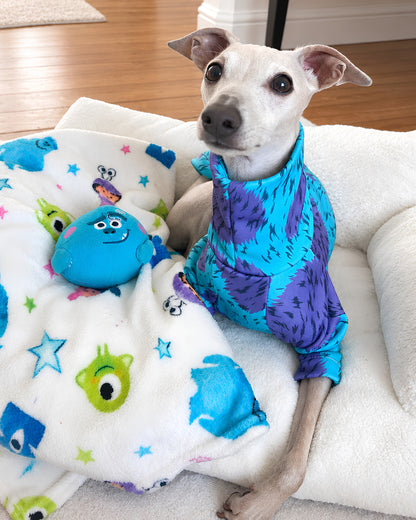 Lightweight Sweatshirt - Monsters Inc.