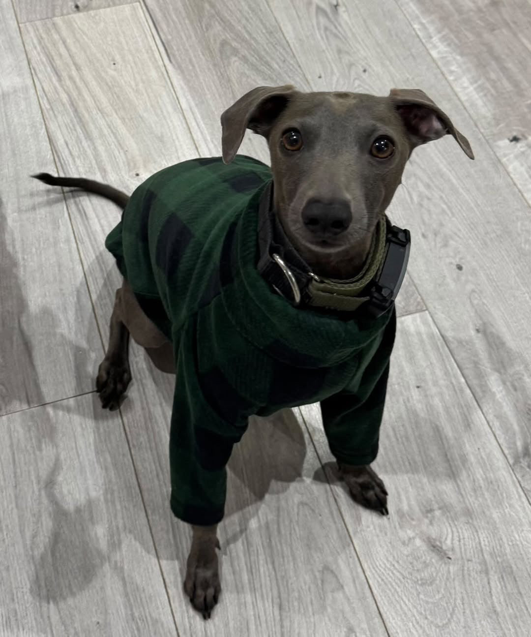 Fleece Jumper - Green Check