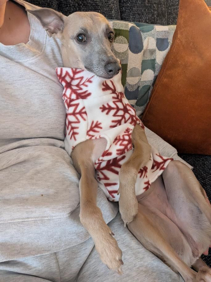 Fleece Vest - Let It Snow