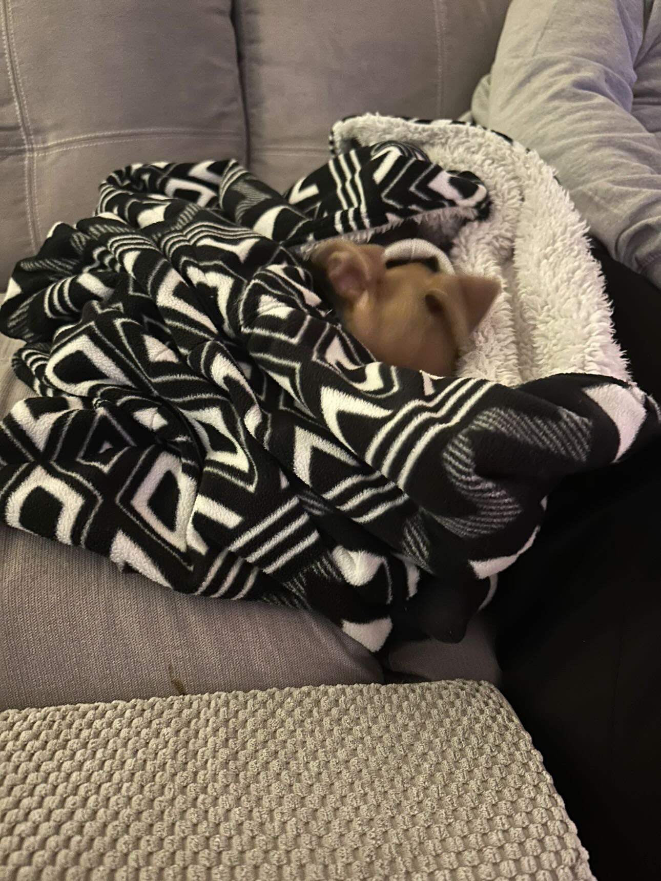Snuggle Sack - Happy Funghi