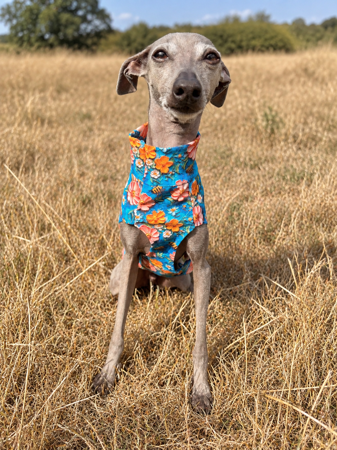 Jersey Vest - Buzz About the Garden