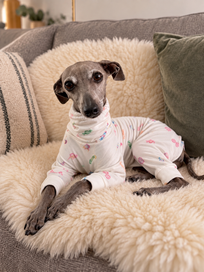 Italian Greyhound wearing alternative Halloween fashion for dogs
Whippet in spooky seasonal clothing designed for slim sighthound bo