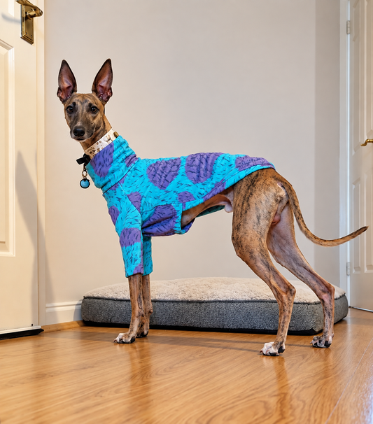 Lightweight Sweatshirt - Monsters Inc.
