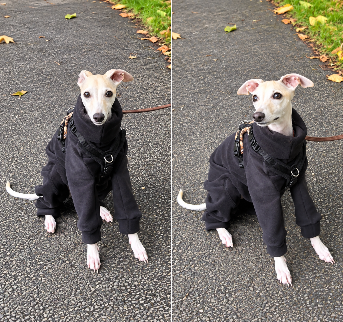 Ultra-Stretch Fleece Suit - Black