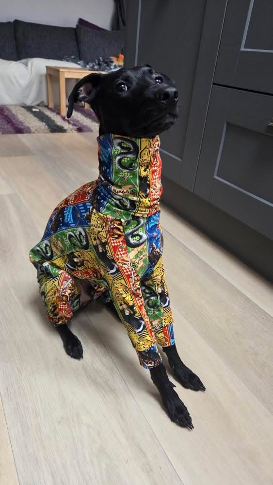 Jersey Suit - Harry Potter