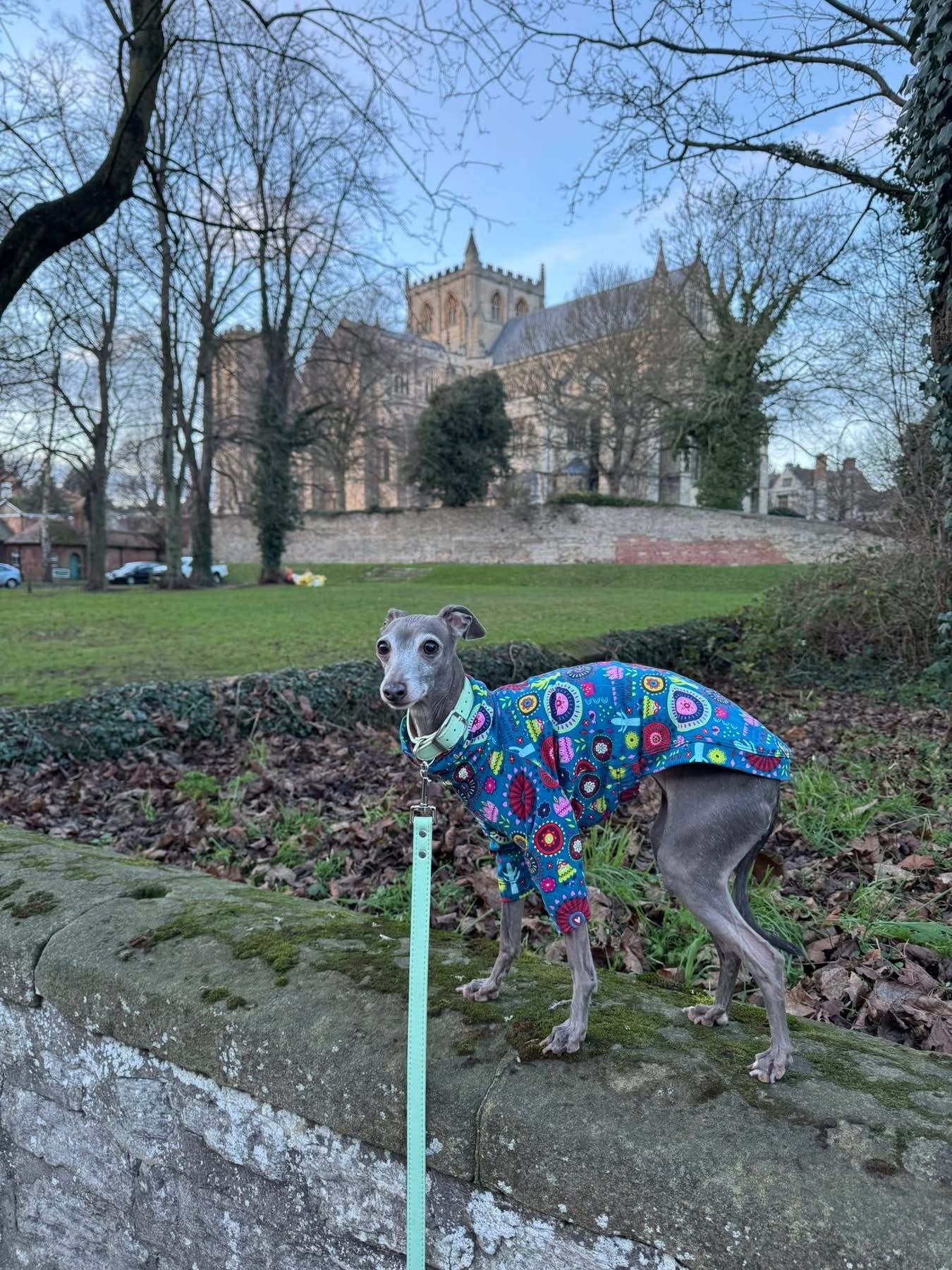 Jersey T-Shirt- Blue Cactus Folk Pattern