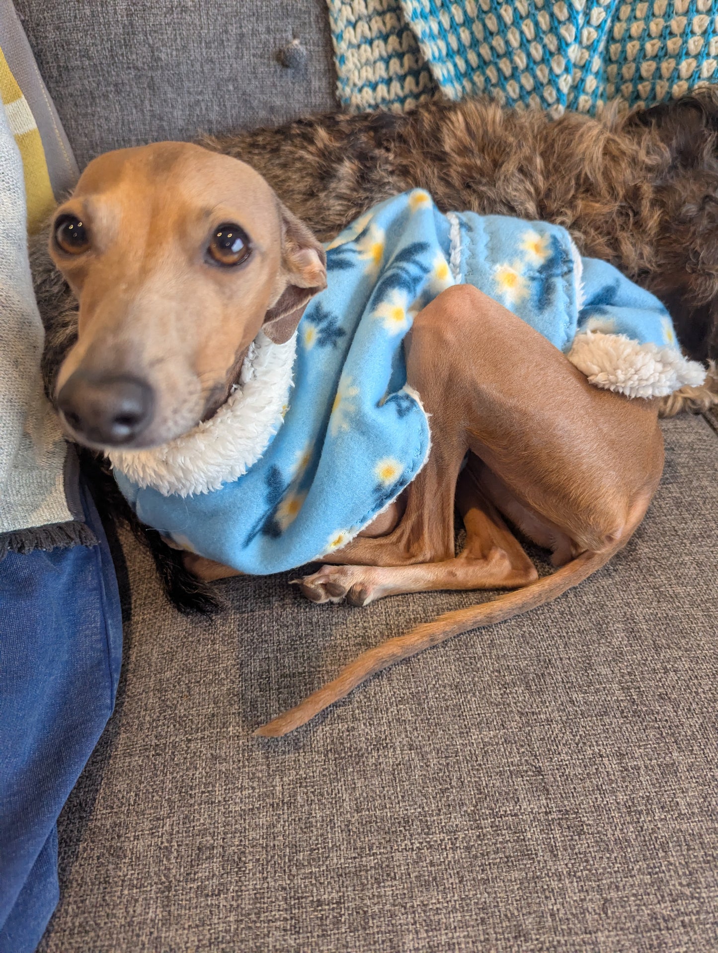 Dressing Gown - Blue Daisys