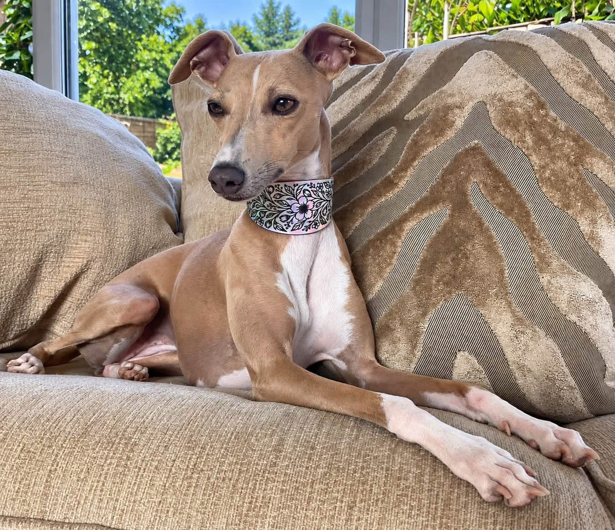 Leather Collar - Country Garden