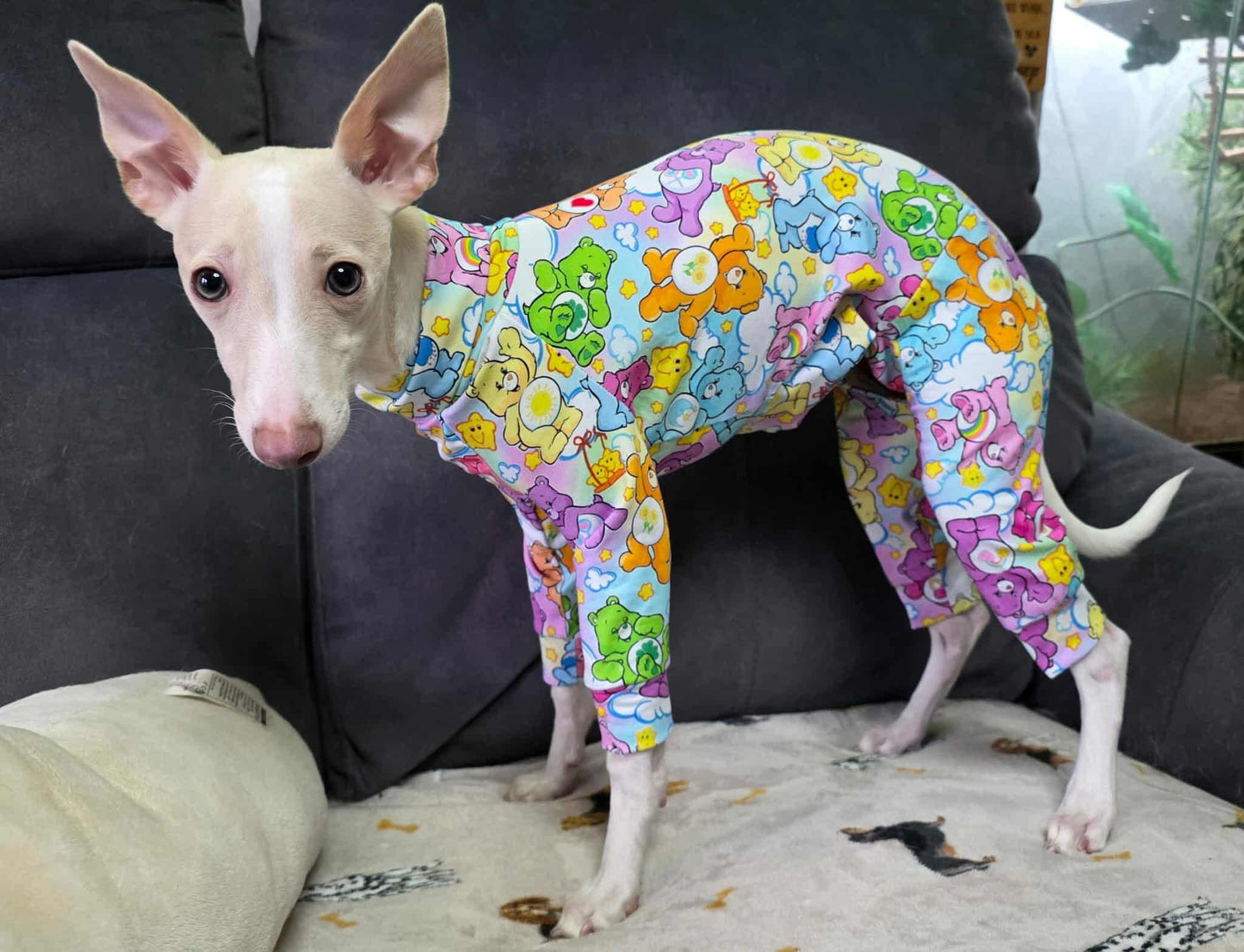 Jersey Suit - Care Bears