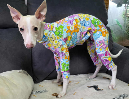 Jersey Suit - Care Bears