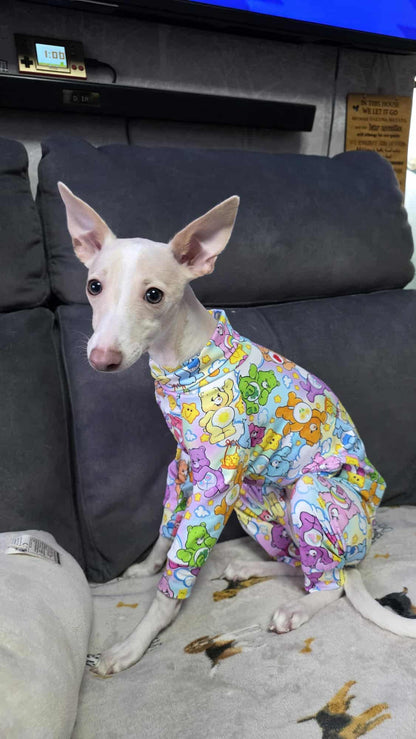 Jersey Suit - Care Bears