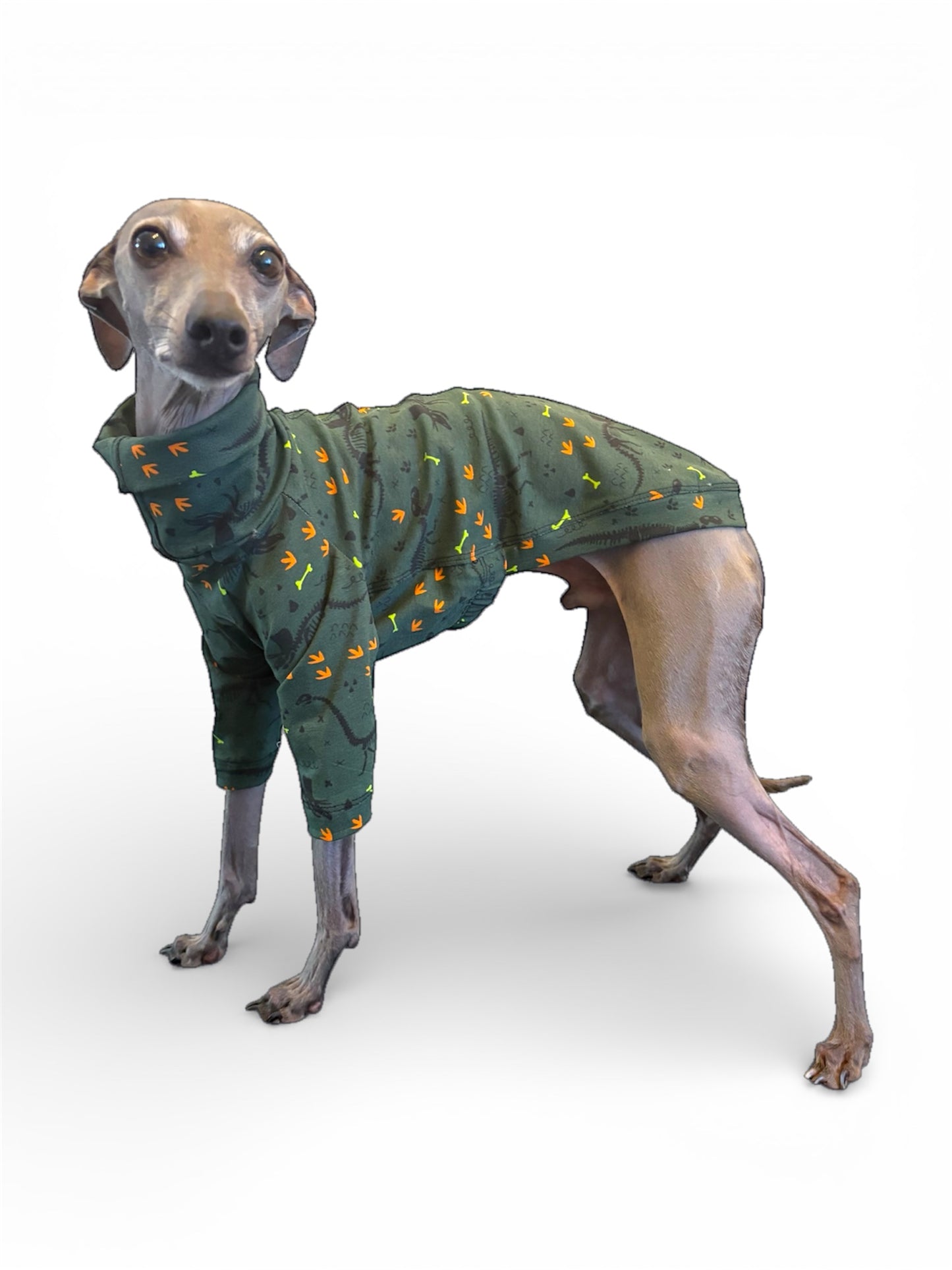 Jersey T-Shirt - Dinosaur Fossils