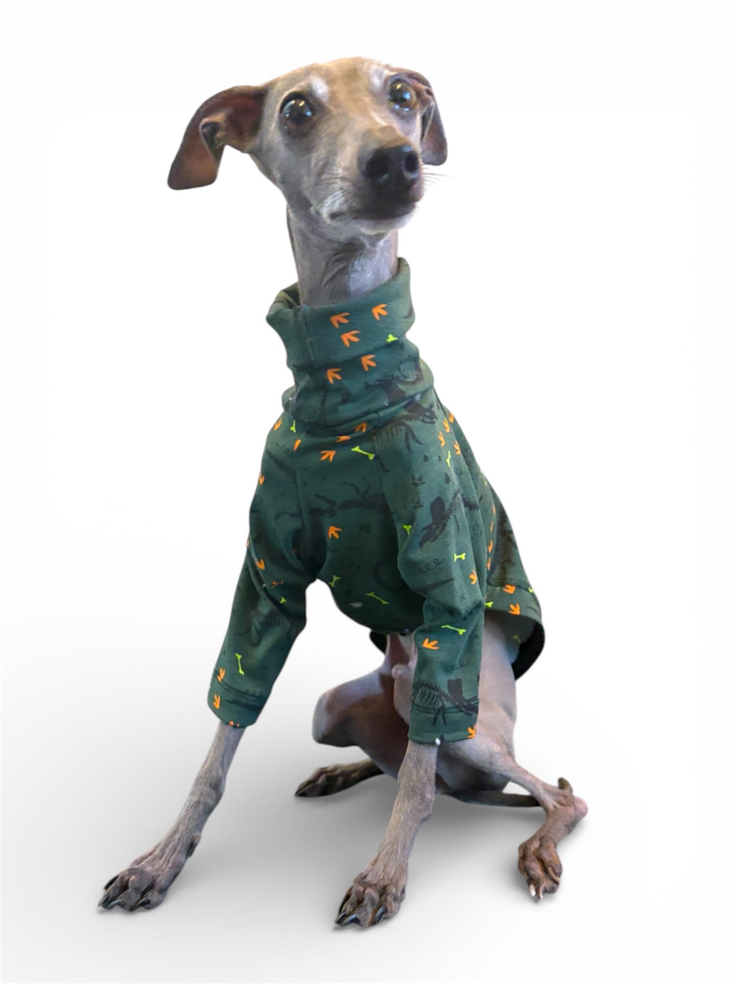 Jersey T-Shirt - Dinosaur Fossils