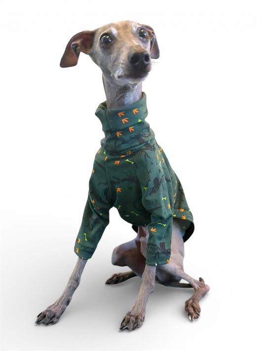 Jersey T-Shirt - Dinosaur Fossils