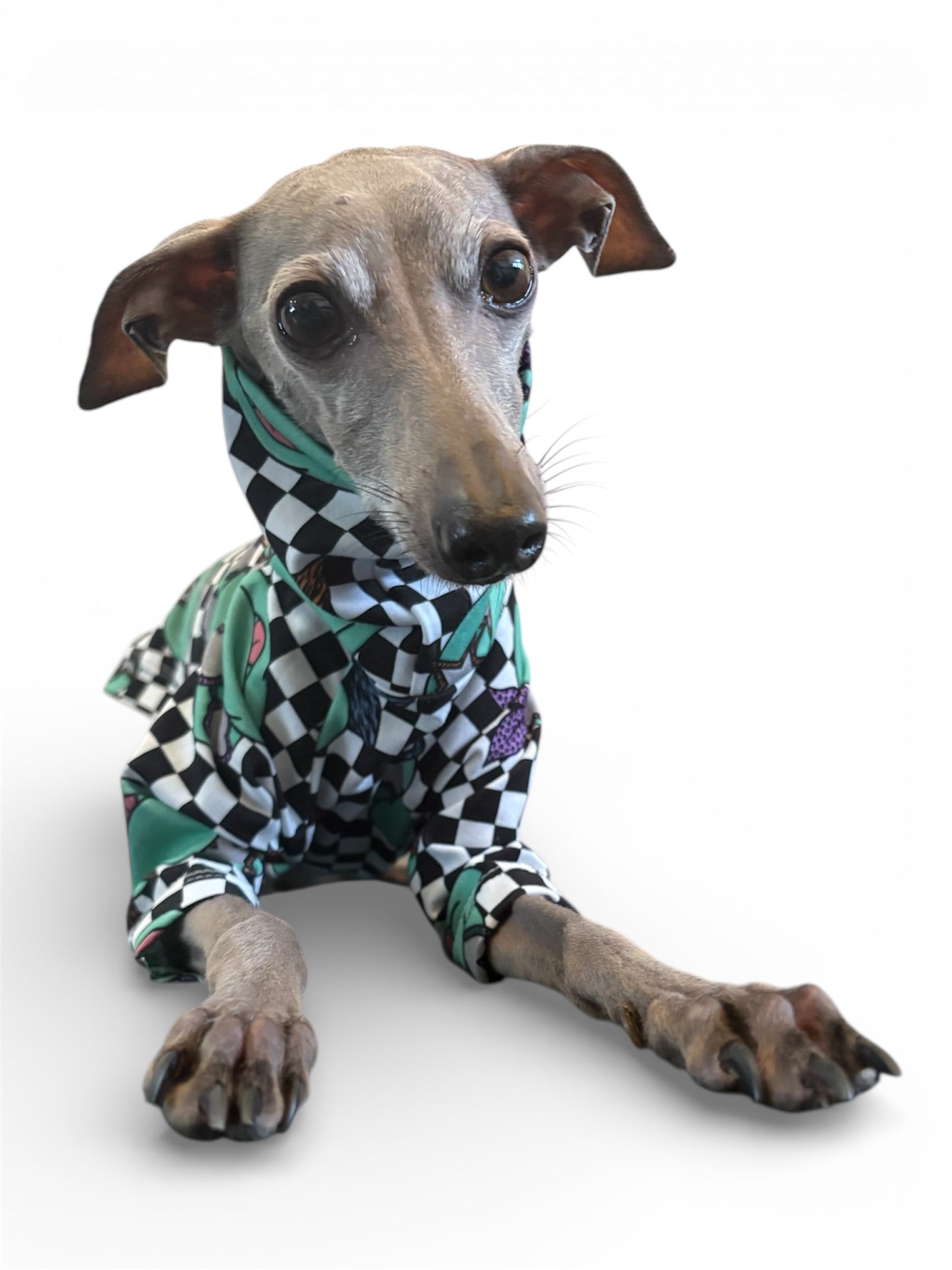 Jersey T-Shirt - Ninja Turtles