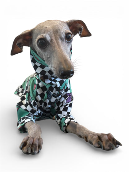 Jersey T-Shirt - Ninja Turtles