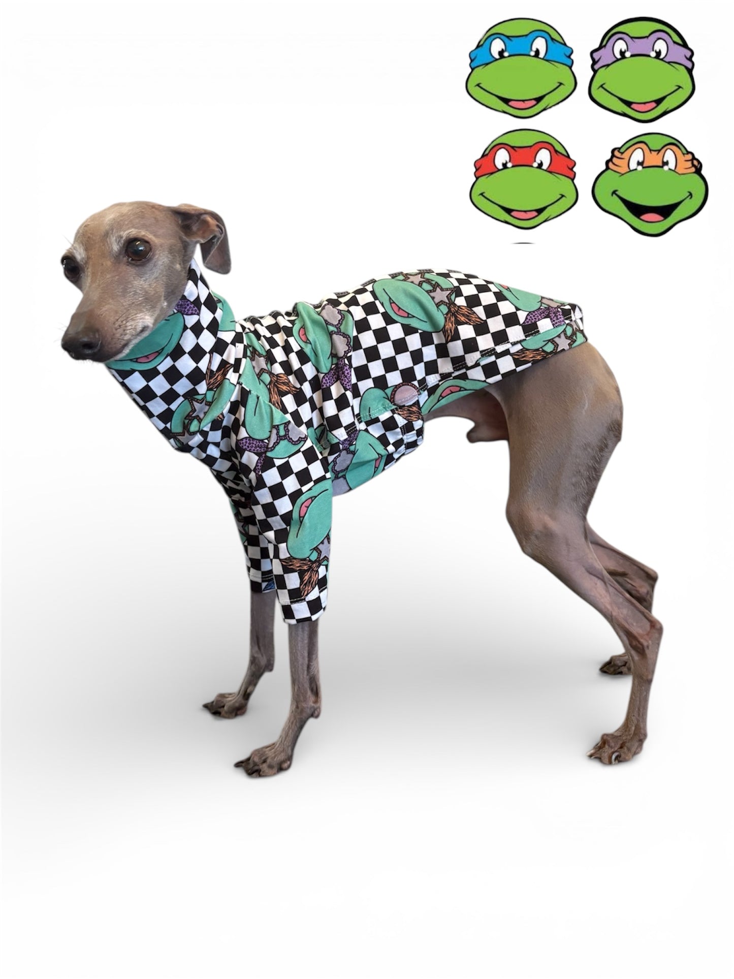 Jersey T-Shirt - Ninja Turtles