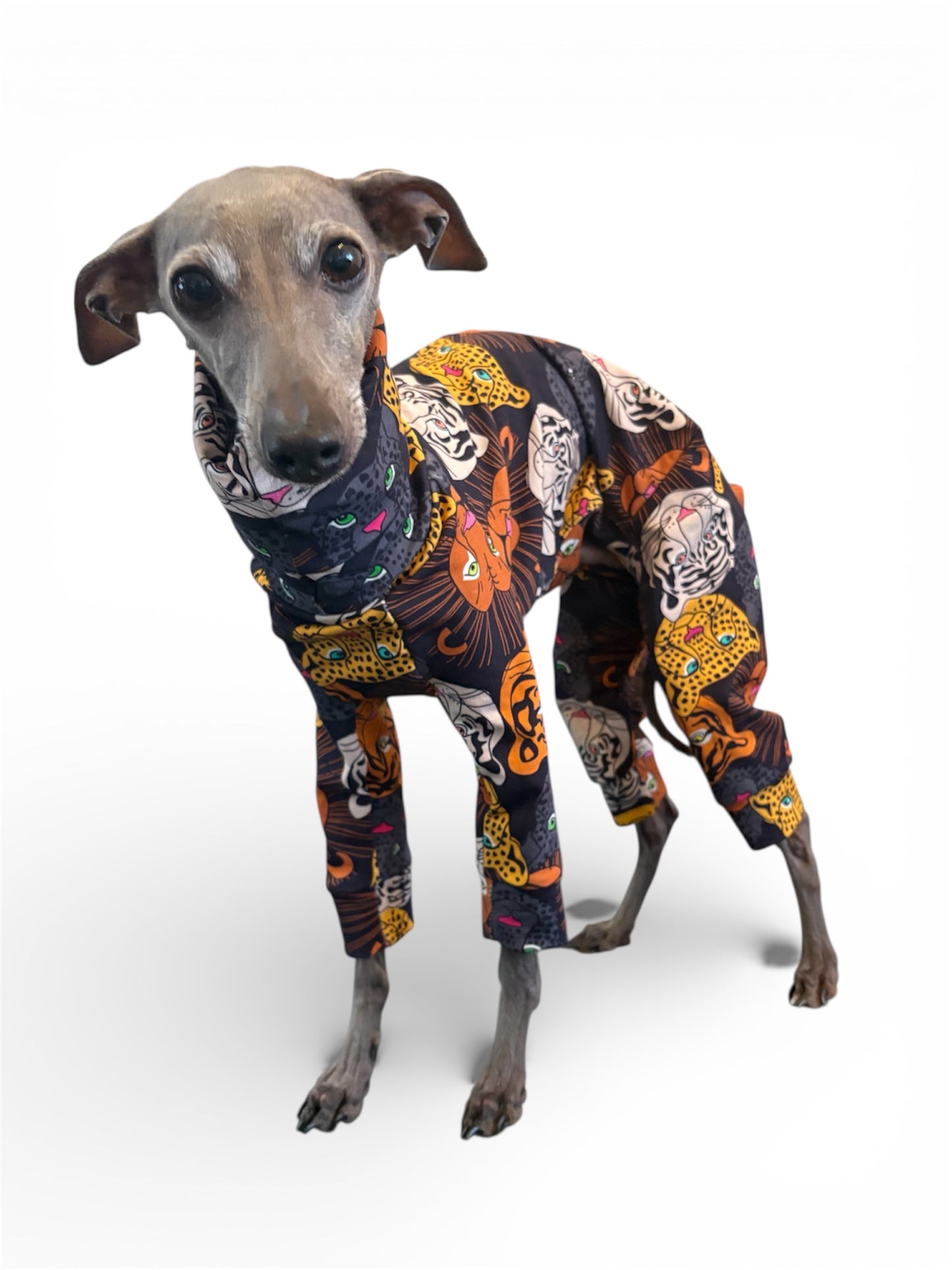 Jersey Suit - Big Cats