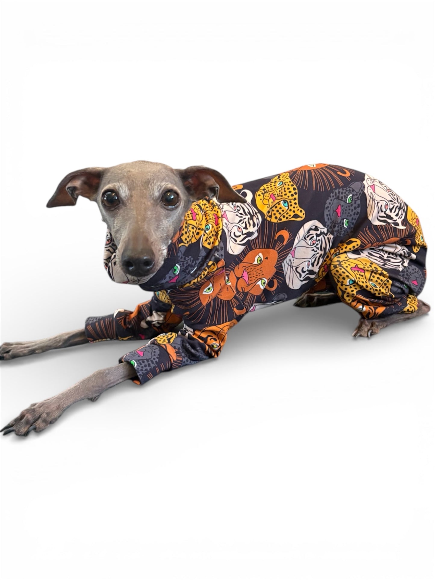 Jersey Suit - Big Cats