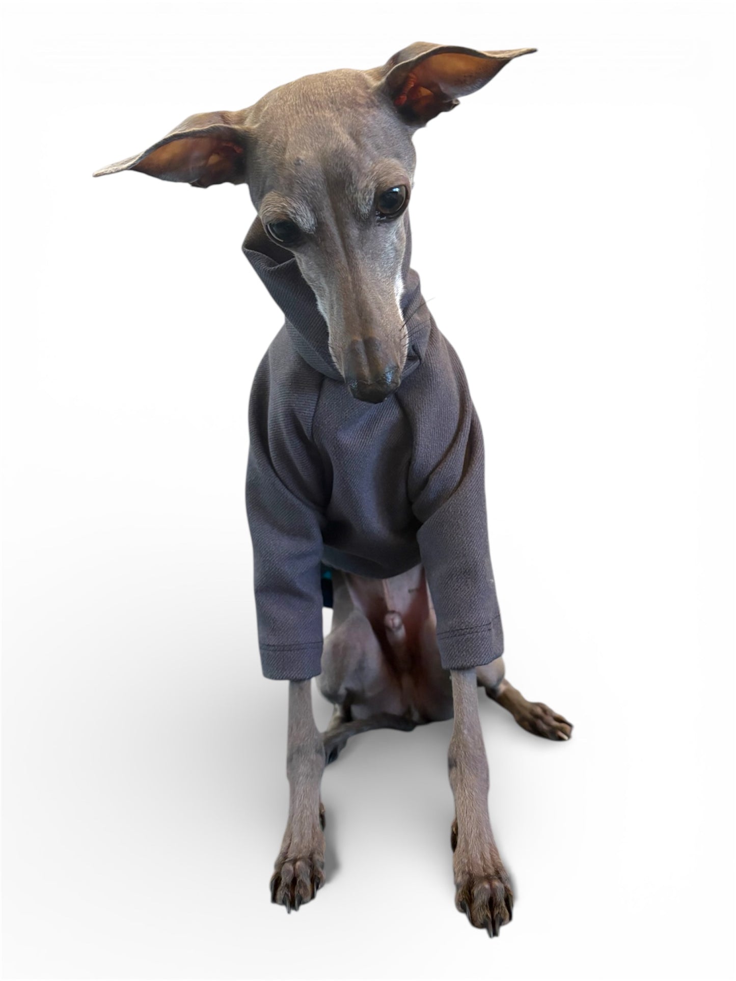 Fleece & Jersey Blend Jumper - Ammonite Swirl