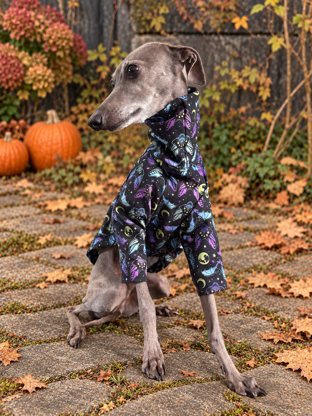Jersey T-Shirt - Halloween - Bat Mischief