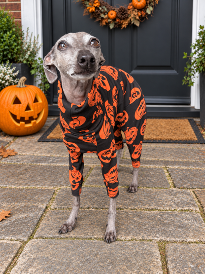 Jersey Suit - Halloween - Jack O' Lanterns