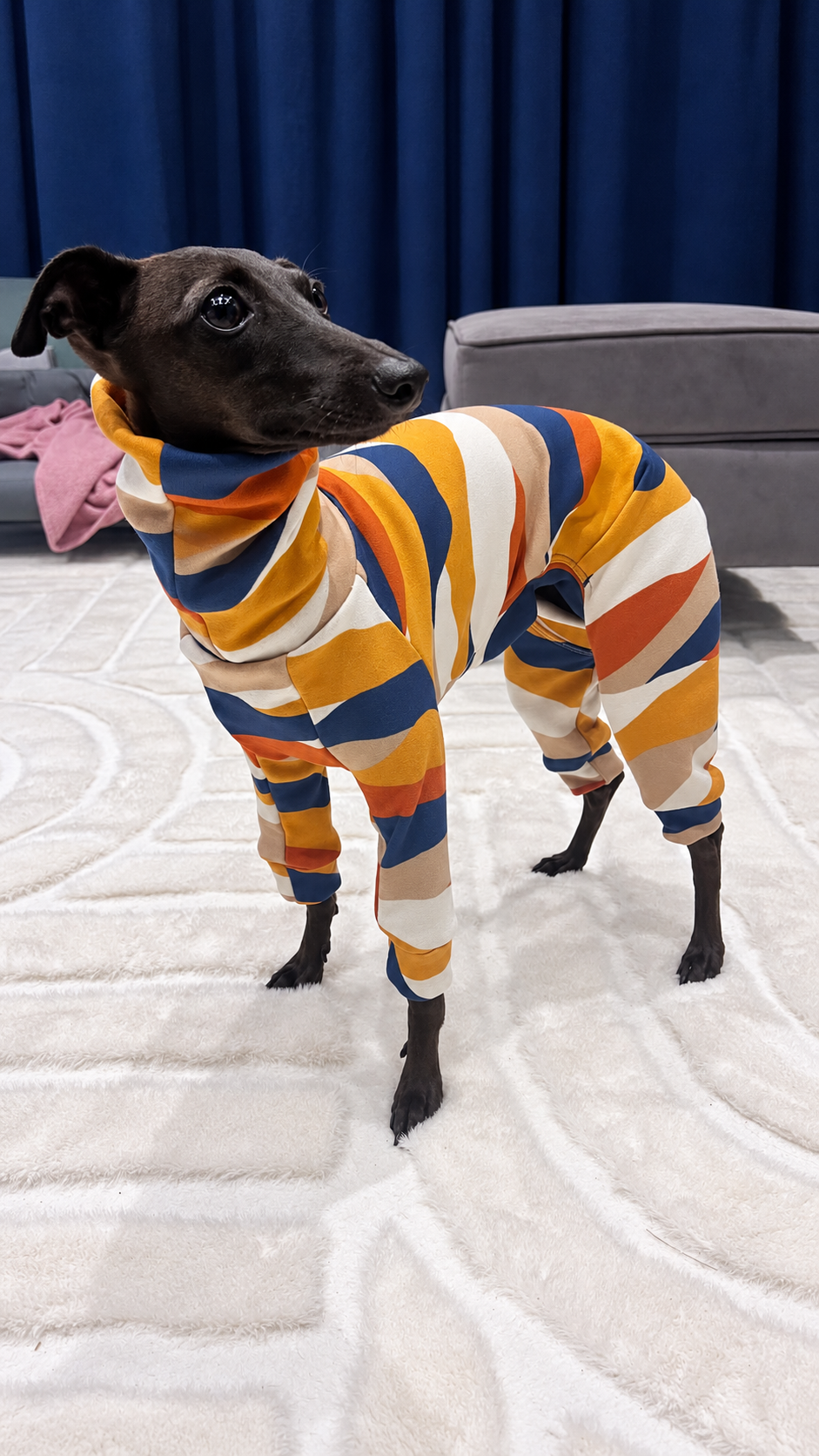 Fleece Lined Sweatshirt Suit - Autumn Trail